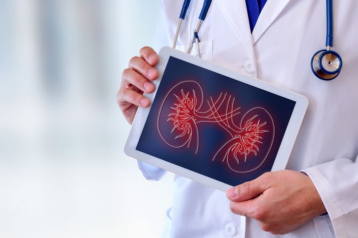 Physician holding up ipad with image of kidneys on screen