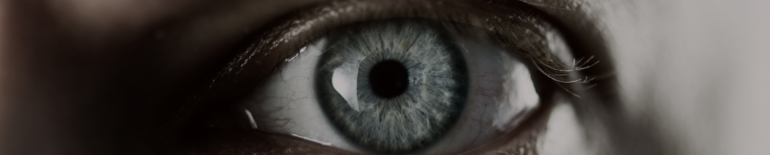Closeup view of person's eye