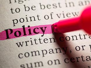 Policy highlighted in pink in dictionary